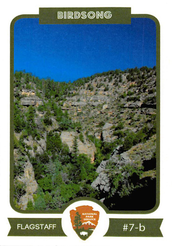 card cover