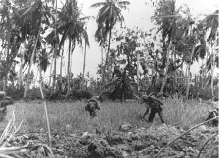 soldiers in rice paddies