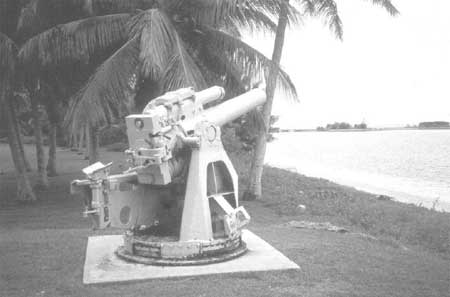 Japanese coastal defense gun