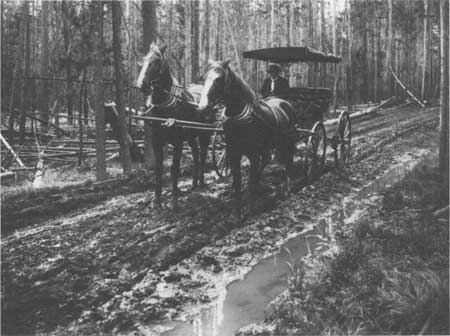 Norris to Madison Junction Road