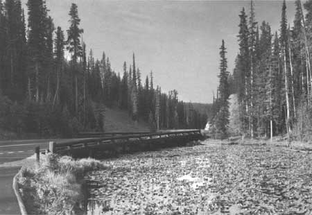 Isa Lake Bridge