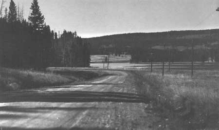 Telephone Lines along Lake to Canyon Road