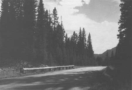 TLF Creek Bridge