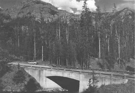 Soda Butte Creek Bridge