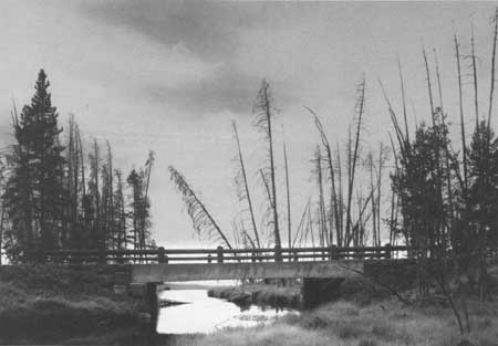 Sedge Creek Bridge