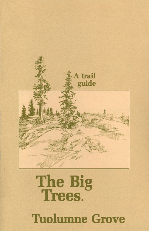 brochure cover