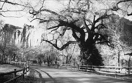 View of the Scenic Drive