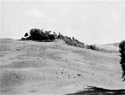 East slope of Blacktail Deer Creek Valley, Yellowstone