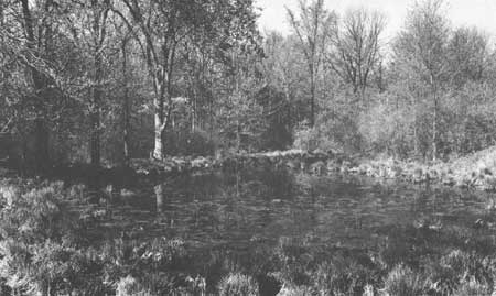 kettle pond