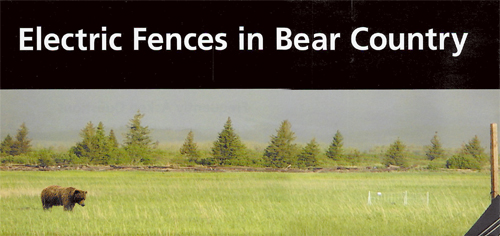 brochure cover