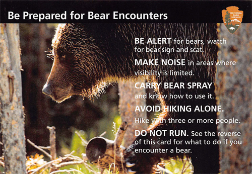 brochure cover