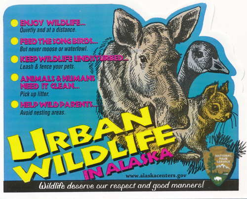 brochure cover