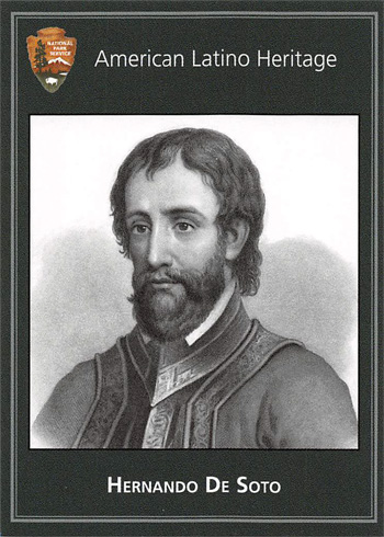 card cover