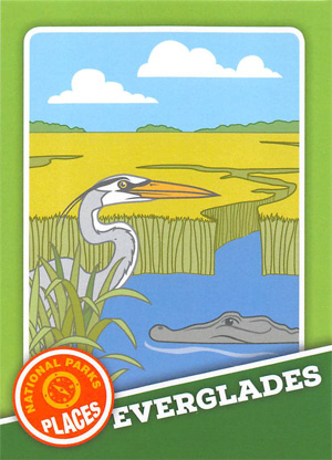 card cover