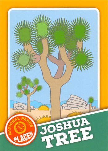 card cover
