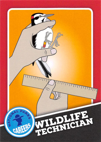 card cover