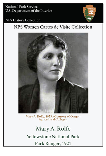 card cover