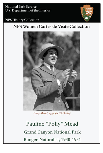 card cover