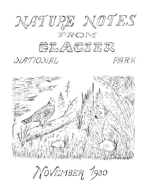 issue cover