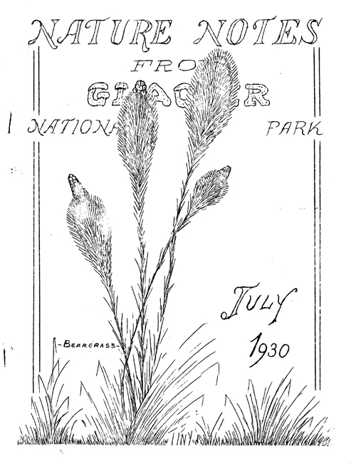 issue cover