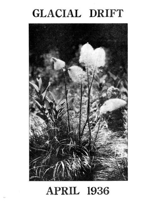 issue cover