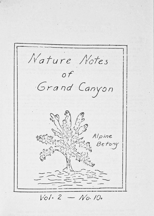 issue cover