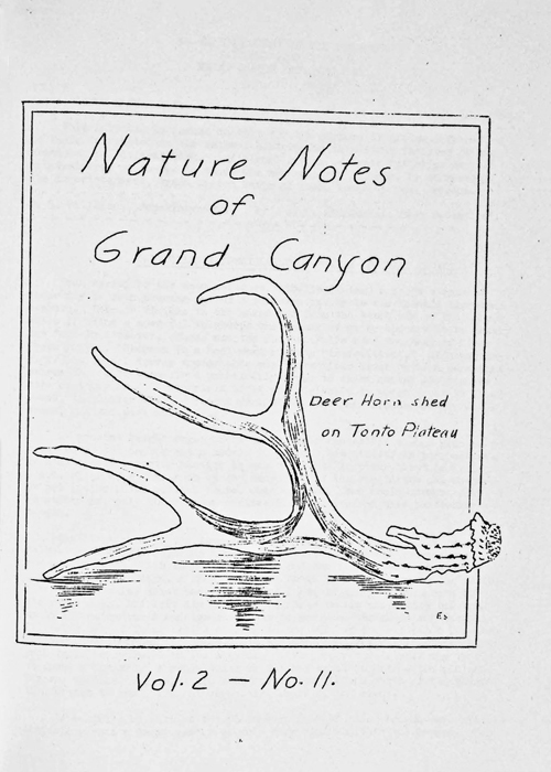 issue cover