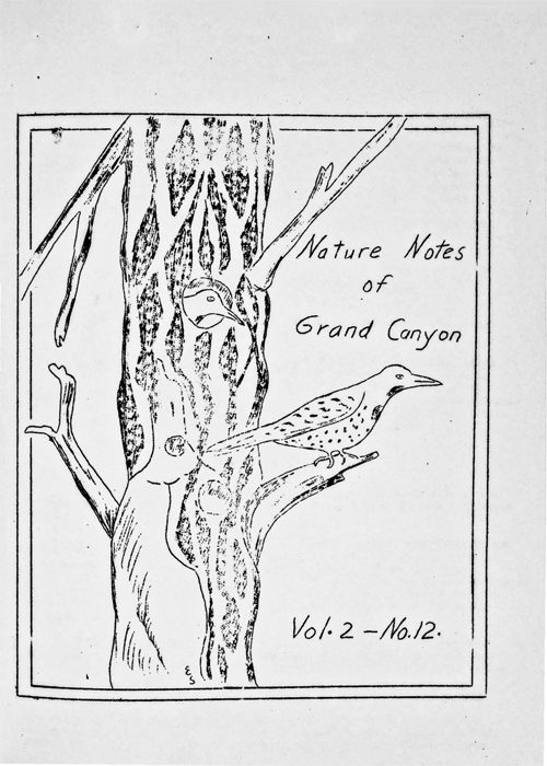 issue cover