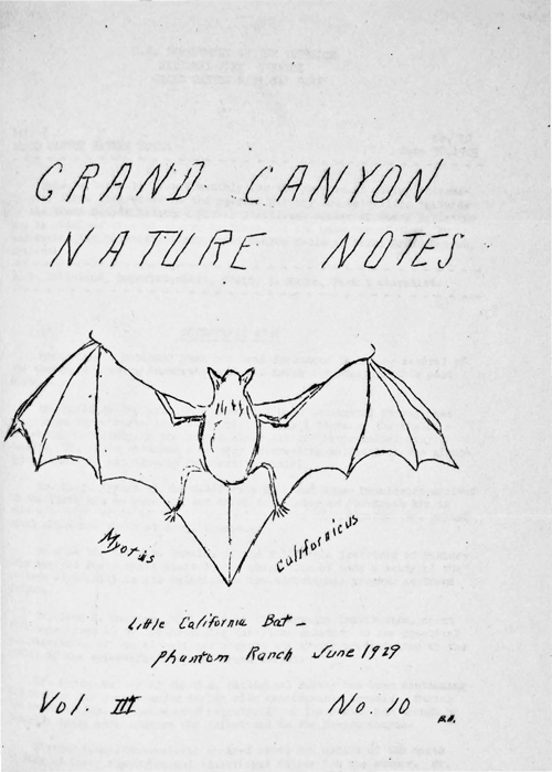 issue cover