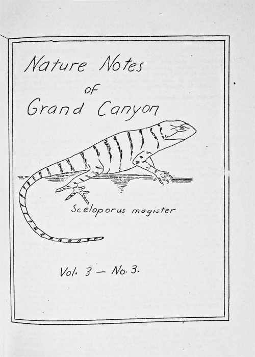 issue cover