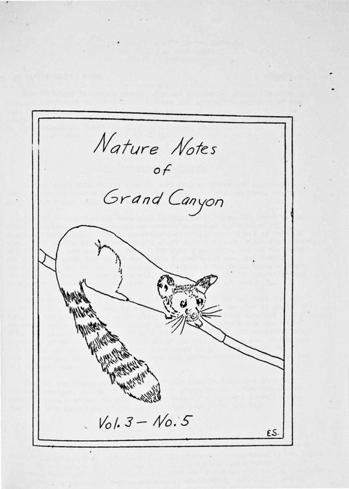 issue cover