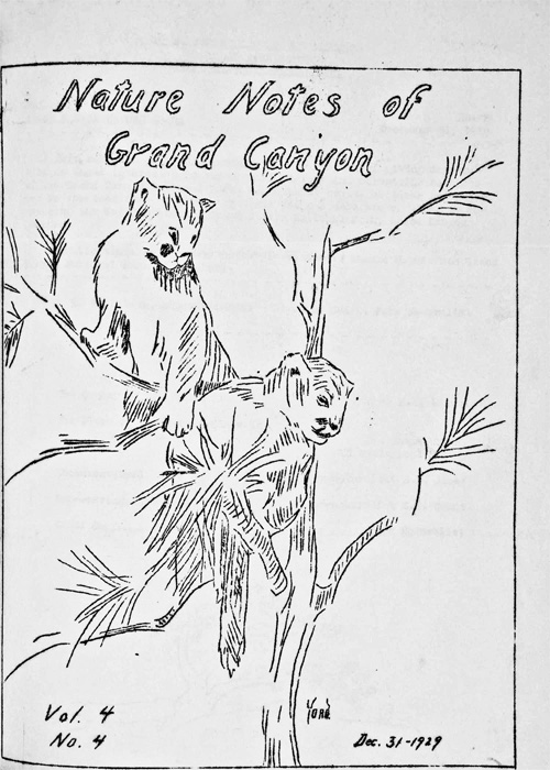 issue cover