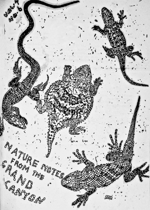 issue cover