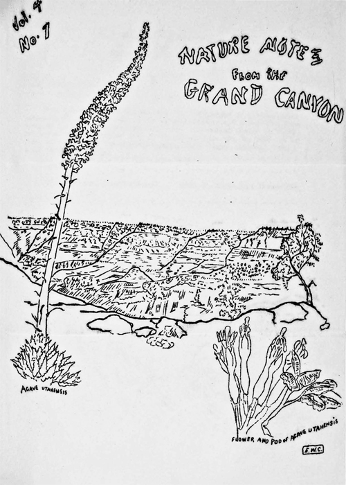 issue cover