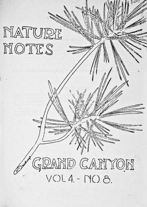 issue cover