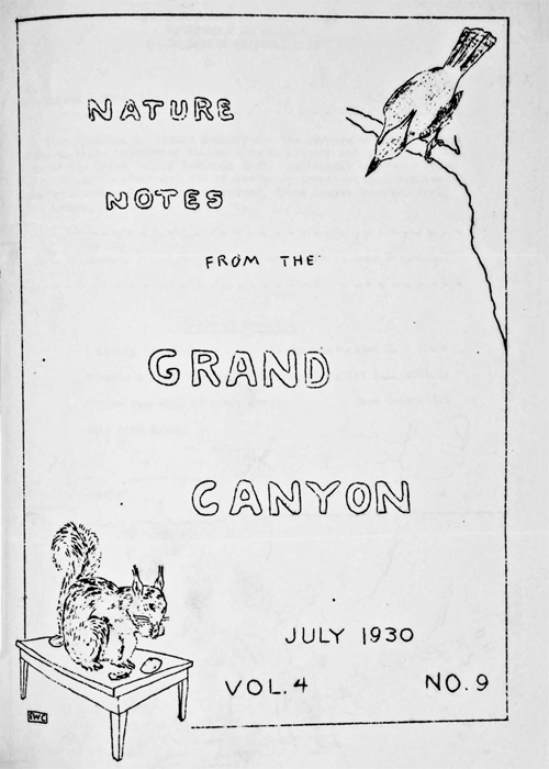 issue cover