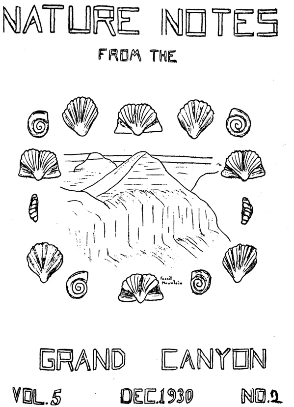 issue cover