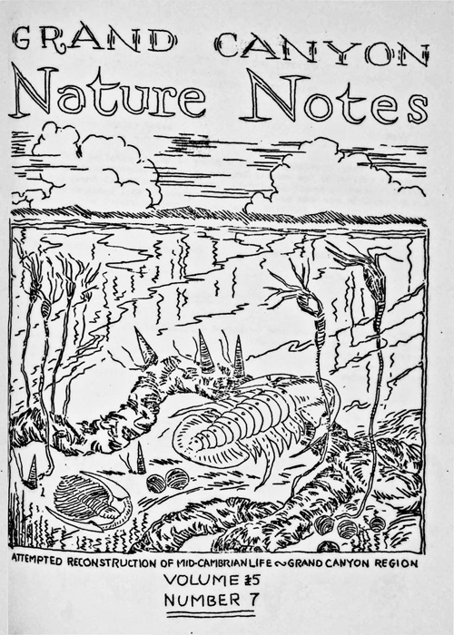 issue cover