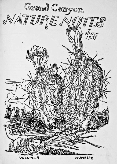 issue cover