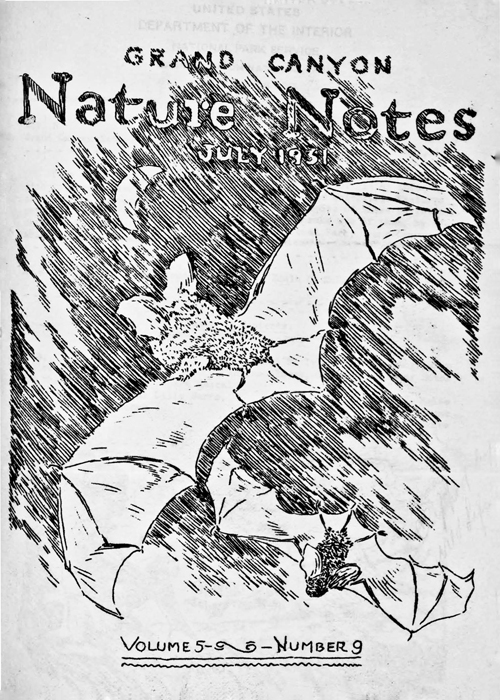 issue cover