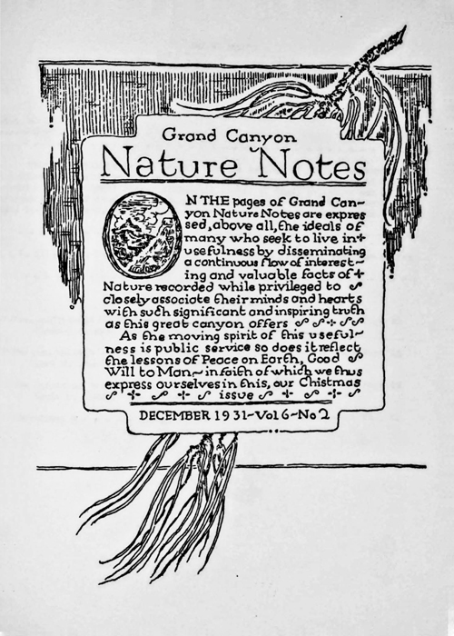 issue cover
