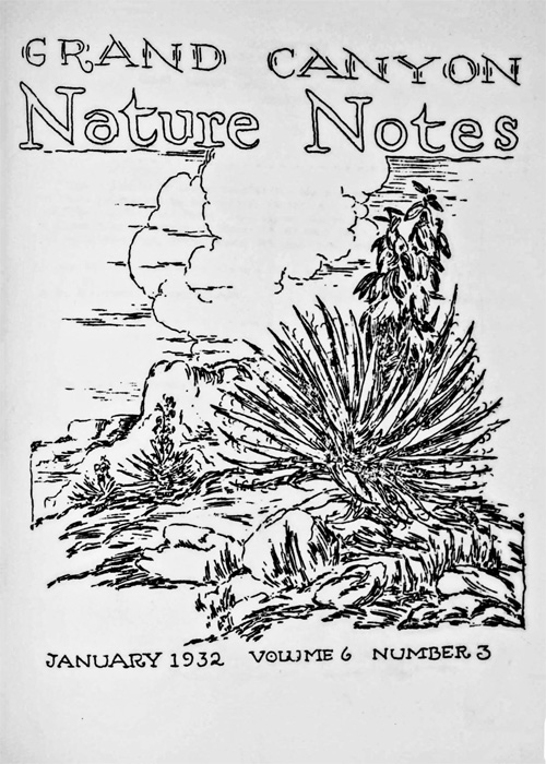 issue cover