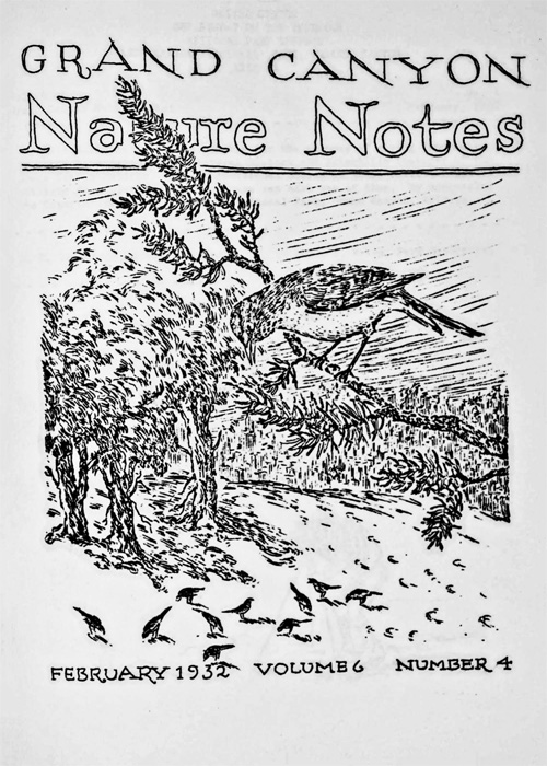 issue cover