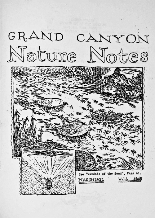 issue cover