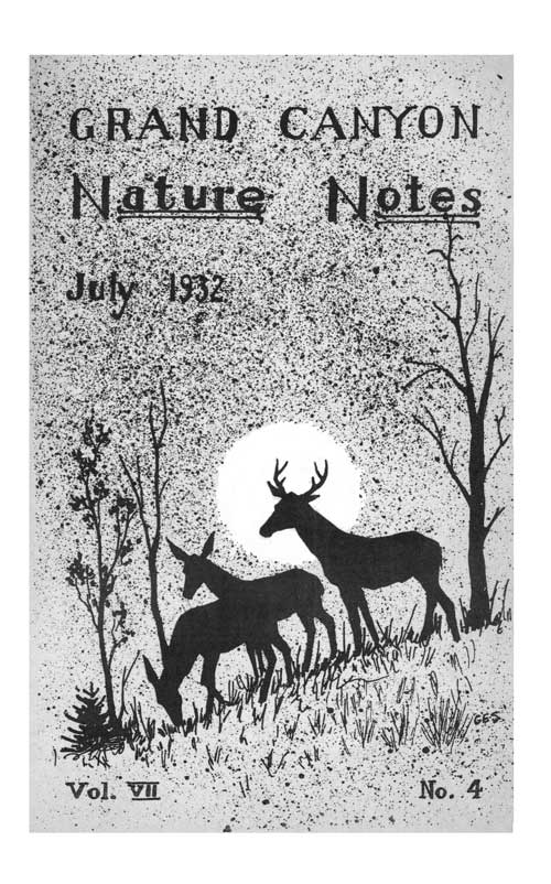 issue cover