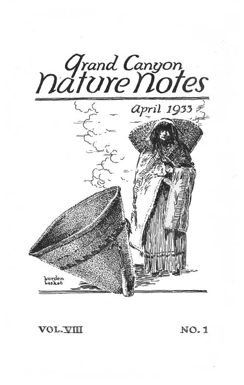 issue cover