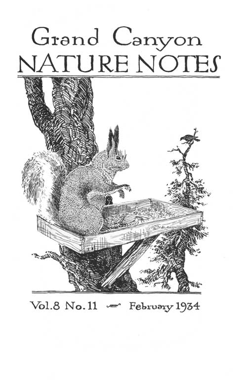 issue cover