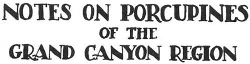 NOTES ON PORCUPINES OF THE GRAND CANYON REGION