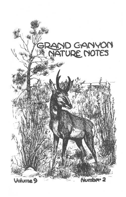 issue cover