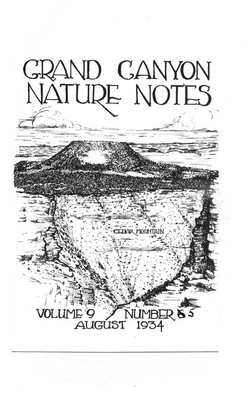issue cover